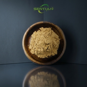 Elecampane extracto a granel OEM gomitas Inula <span class=keywords><strong>Helenium</strong></span> Extracto de raíz cápsulas elecampane Extracto de flor - Product Image 4