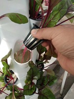 Système hydroponique Légumes Cultiver Pétale Tour Système d'irrigation Serre Fraise Vertical Jardinage Tour