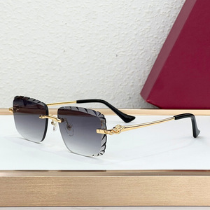 Gafas de Sol sin Marco con Diseño de Guepardo, Lentes de Resina con Protección UV400, Diseño Retro Metálico Unisex - Product Image 2