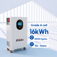 Batterie au lithium LiFePO4 murale intelligente avec BMS pour stockage solaire domestique aux Philippines, 51.2V 280Ah 300Ah 314Ah, 15kWh 16kWh