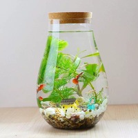 Vase Terrarium Moderne de Luxe en Verre avec Couvercle en Dôme et Bouchon en Liège pour Plantes Grasses et Aménagements Paysagers – Vente Chaude