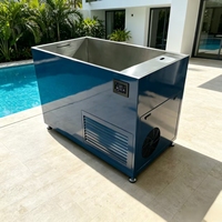 Baignoire à glace moderne et écologique sur mesure en acier inoxydable avec refroidisseur intégré 1HP et 2 jets de massage