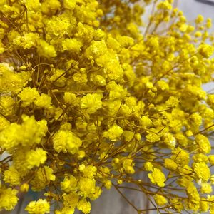 Flor Eterna, Flor Seca, Ramo de Flores Pequeñas Estrella del Cielo, 15 cm, 5 Piezas/ramo, Decoración para Bodas y Familia - Product Image 2