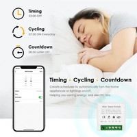 RSH Tuya WiFi 16A Mini Interrupteur Intelligent sans Fil Module Relais Disjoncteur Télécommande DIY Contrôle 2 Voies Compatible Alexa Google