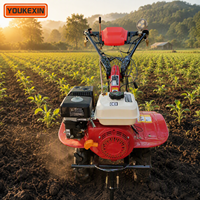 Nuevo Diseño de Cultivadora Diésel Pequeña de Accionamiento Directo, Ancho de 800-1050 mm, Sin Correa, OEM ODM, MOQ Bajo, para el Sudeste Asiático, Proveedor de Fábrica