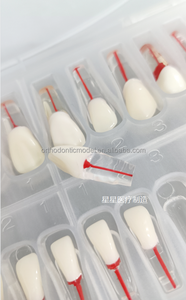 Tal y como se ve, OOT Pulpa de ndo-, no se puede utilizar, ULP - Product Image 4