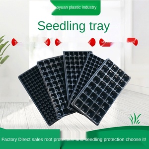 Plateau de semis pour <span class=keywords><strong>graines</strong></span> <span class=keywords><strong>succulentes</strong></span>, boîte d'alimentation pour fruits et légumes, bassin épais, démarrage pro, 2 pièces - Product Image 2