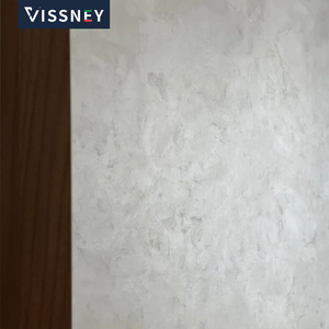 Vissney <span class=keywords><strong>Peinture</strong></span> décorative à la chaux en stuc à base d'acrylique <span class=keywords><strong>Peinture</strong></span> murale à vent industriel Options OEM/ODM Revêtement liquide pour ciment - Product Image 6