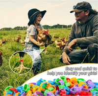 Bagues de pied pour oiseaux en ABS de 8 mm, colorées, durables, écologiques, réutilisables, fournitures d'identification pour pigeons voyageurs, vente en gros d'usine