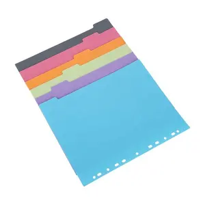 AFFISURE Verschiedene Farben A4 Extra breite 6-teilige Kunststoff-Feilen teiler mit leeren mehrfarbigen Laschen für Ring binder