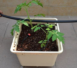 C71 Agriculture Serre Hydroponique Système Néerlandais Seaux Système Pour Serre Jardin Agriculture Carré <span class=keywords><strong>En</strong></span> Plastique Néerlandais Seau - Product Image 1