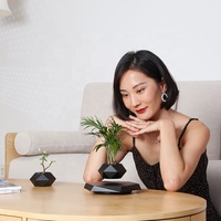 Jardinière Intelligente d'Intérieur Hydroponique Design Nordique à Lévitation Magnétique pour Plantes, Décoration et Cadeaux