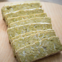 Tempeh de pois chiches pour des repas surgelés sains, protéines végétales sans gluten, idéal pour la friteuse à air et les salades