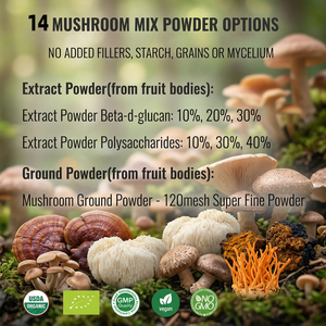Extracto Nutricional <span class=keywords><strong>de</strong></span> Hongos Orgánicos USDA EU, Complejo 14 en 1 en Polvo, Extracto Acuoso <span class=keywords><strong>de</strong></span> Melena <span class=keywords><strong>de</strong></span> León, Reishi, Turkey Tail, Antocianina y Proteína - Product Image 5