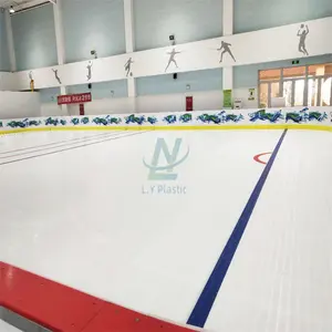 Grande patinoire synthétique personnalisée pour les matchs de hockey
