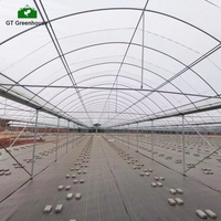 Ferme en acier inoxydable avec système de culture hydroponique, tubes de haute qualité à emplacements multiples en tunnel