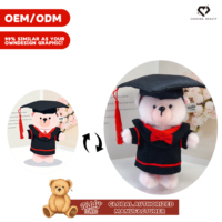 Teddy ISLAND – Tenue de Remise de Diplôme pour Ours en Peluche, Taille Personnalisée, avec Vêtements de Poupée Tendance – Licence Globale