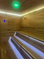Sauna Interior Eléctrica Moderna de Lujo, Madera de Hemlock, Panel de Control Computarizado, Vapor para 2-6 Personas, 220V, Cabina de Relajación para Villa