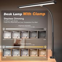 Lampe de bureau LED Lampe de bureau avec LED Spectre complet Lampe de bureau avec clip I Écran d'ordinateur Bureau Étude Lecture