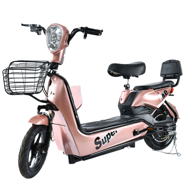 Paige OEM/ODM Makers Enduro 350w 20 Ebike 48v Manufacturer Battery High Quality Electric Bicycle Bike for Men