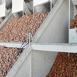 Efficacité de la ligne de torréfaction de noix de pistache