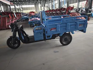 Factory Direct Sale China Cheap Electric Tricycle Motorcycle 3 Wheel Electric Vehicle