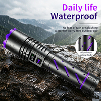 Lampe torche détecteur UV portable USB rechargeable 365 nm avec indicateur de puissance numérique, étanche IP66 en alliage d'aluminium pour la détection d'urine canine et de jade