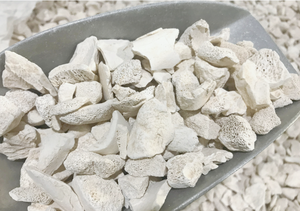 Longues ossements de dragon fossilisés et séchés (Ossa <span class=keywords><strong>Draconis</strong></span>) pour la phytothérapie Fuyang Yiyi 1kg - Product Image 3