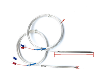 Sonde de température NTC à résistance thermique PT100, étanche, en acier inoxydable, avec aiguille insérée dans le sol, diamètre 3 mm