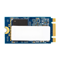 SSD SATA M.2 2242 SL700 128 Go 256 Go 512 Go pour Ordinateur Portable, Mini PC et Ordinateur Industriel