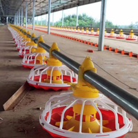 Équipements complets d'élevage de poules/hangar pour élevage et élevage