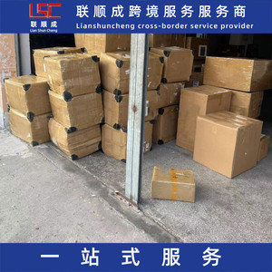 Lianshuncheng Singapur Malasia Logística Internacional Express Transporte de Mercancías Puerta a Puerta con Despacho de Aduanas - Product Image 3