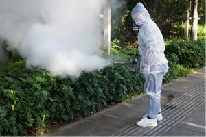 Máquina de Nebulización Térmica Alternativa a Igeba de Acero Inoxidable de Alta Calidad, 5L de Capacidad, Pulverizador Eléctrico Nuevo para Plantas - Product Image 4