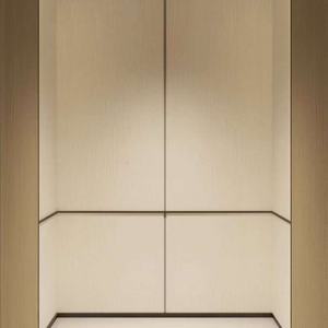 Mini Ascenseur Panoramique Moderne pour Maison, Villa, Hôtel, Appartement, Cuisine - Mini Escalator pour Extérieur - Product Image 2