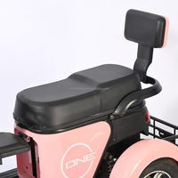 Nouveau tricycle électrique pour personnes âgées, usage domestique pour adultes, transport pour enfants, petit tricycle électrique pour femmes