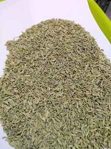 Semillas de hinojo verde de alta calidad, secas y crudas, listas para exportación inmediata, cultivadas en granjas globales bajo supervisión - Product Image 4