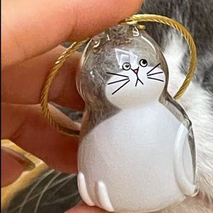 Transparent Cute Storage Pet <b>Memorial</b> <b>Keepsake</b> cat Hair Collection Chain - Product Image 5