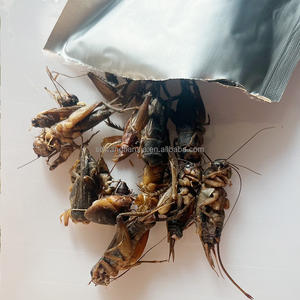 Aliment en conserve de sauteurs noirs riches en protéines, sans OGM, <span class=keywords><strong>vente</strong></span> directe usine, longue conservation, pour poulets, poissons, oiseaux, tortues et reptiles - Product Image 2