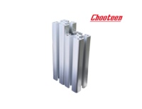 Chine 6063 T5 2020/3030/4040 anodisation industrielle profil d'extrusion d'aluminium de canal de Table de fente de t