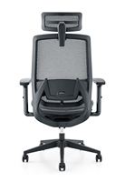 Chaise en maille de bureau de directeur exécutif de haute qualité Design ergonomique avec accoudoirs réglables Ordinateur pour les joueurs pivotant