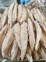 Nuovo arrivo pesce crudo intero congelato Bonito pallottola tonno oceanico Bonito con buoni prezzi