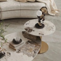 Ensemble de table basse moderne de luxe 2025 avec base en acier inoxydable doré, plateau en pierre frittée ovale facile à nettoyer, qualité supérieure pour la maison