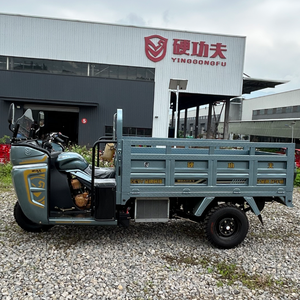 Triciclo a Benzina Economico e Durevole XW150ZH-24, Affidabile Veicolo a 3 Ruote per Logistica Rurale - Product Image 5