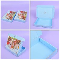 Ethnische Illustration Versandkartons Hellblau Recycelbare Verpackung Wellpappe-Versandboxen Maßgefertigte Verpackungsbox mit Prägung