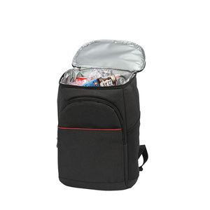 Promotion outdoor lunch bag travel food delivery backpack insulated cooler box