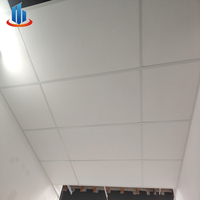 Panel Decorativo Laminado de Yeso con Acabado de PVC Impermeable, Ignífugo e Insonorizante para Techo Interior de Hoteles, Oficinas y Hospitales