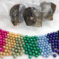 Support personnalisé pour la vente en gros d'huîtres Akoya à perles rondes emballées sous vide, perles naturelles teintées de couleurs variées, multi-tailles pour bijoux et événements.