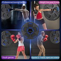 Punch d'entraînement factice mural Kick Smart Target Punching Pad Music Boxing Machine