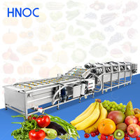 Machine de lavage et de séchage HNOC pour tomates, myrtilles, légumes à feuilles, laitues et fruits