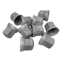 Eurocv Truck Parts VOE 20578566 Capuchon d'écrou de roue 20 pièces dans une boîte L = 49mm